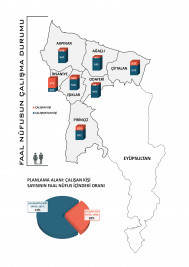 Faal Nüfusun Çalışma Durumu