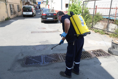 Eyüpsultan Belediyesi'nden patili dostlar için yoğun eylül mesaisi