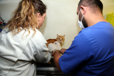 Patili dostlarımız için hizmet üretiyoruz