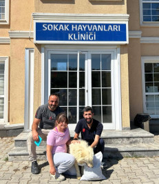 Eyüpsultan'da Mart ayında patili dostlar için yoğun çalışma