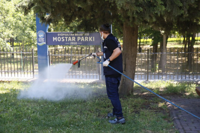 Eyüpsultan'da 29 mahallede ilaçlama çalışmaları aralıksız sürüyor
