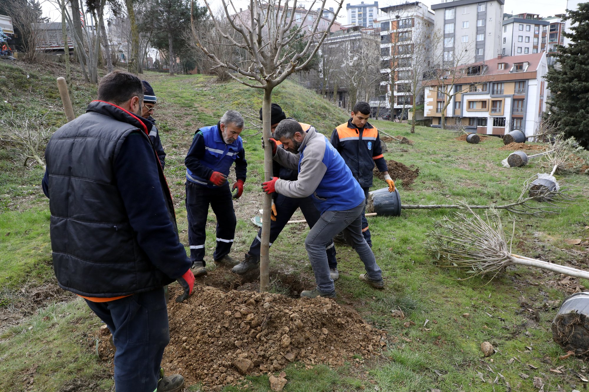 Ağaçlandırma talebi hızlıca çözüme kavuştu 