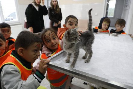 Patili dostlarımıza özel etkinlik