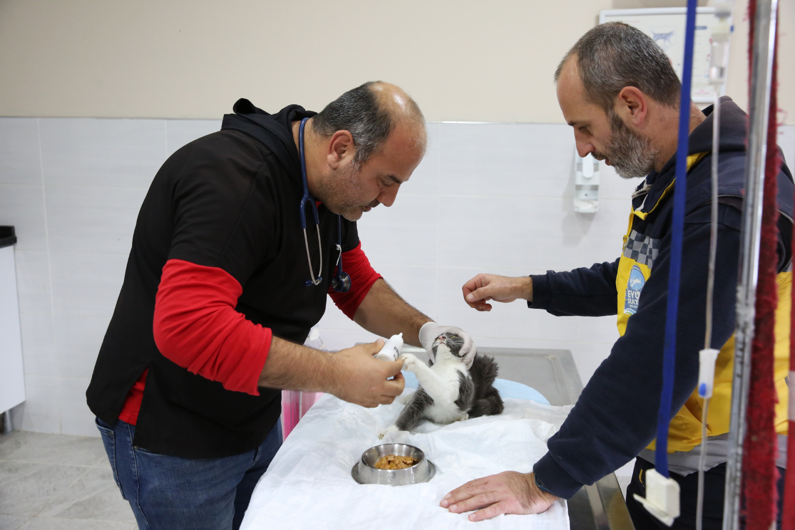 Eyüpsultan'da Mart ayında patili dostlar için yoğun çalışma Eyüpsultan'da Mart ayında patili dostlar için yoğun çalışma