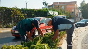 Yeşil alanlarımızda düzenli bakım, budama ve temizlik çalışmaları devam ediyor.